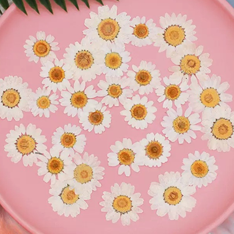 100Pcs Natural White Crystal C - Resin Craft Ideas review and price