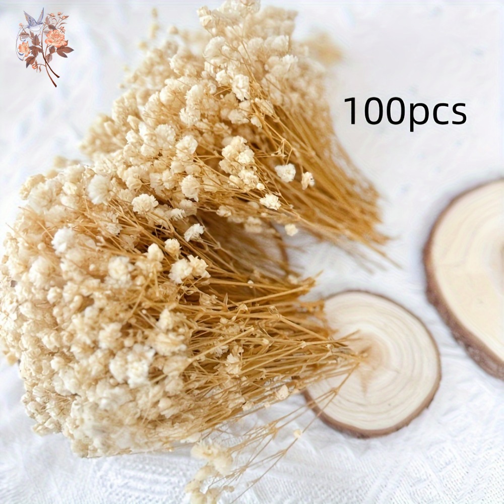 100pcs Mini Dried Baby's Breat - Resin Craft Ideas review and price